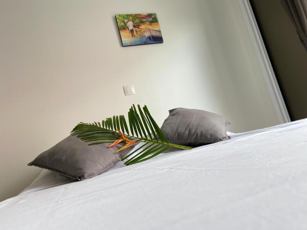 Residence Vwal O Van 2, Studio Plage A Proximite 圣安尼 外观 照片